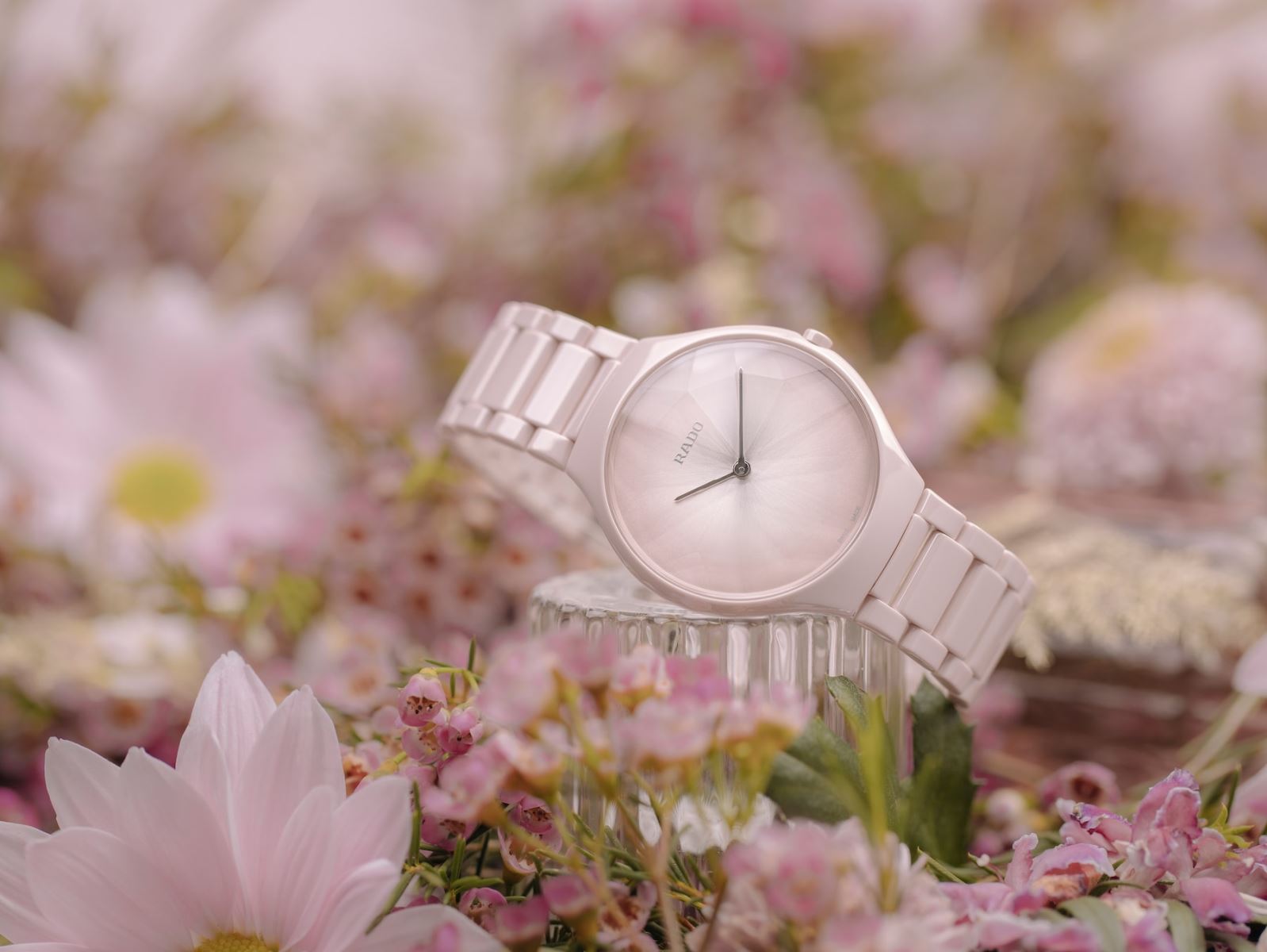 đồng hồ rado true thinline the four seasons 2022