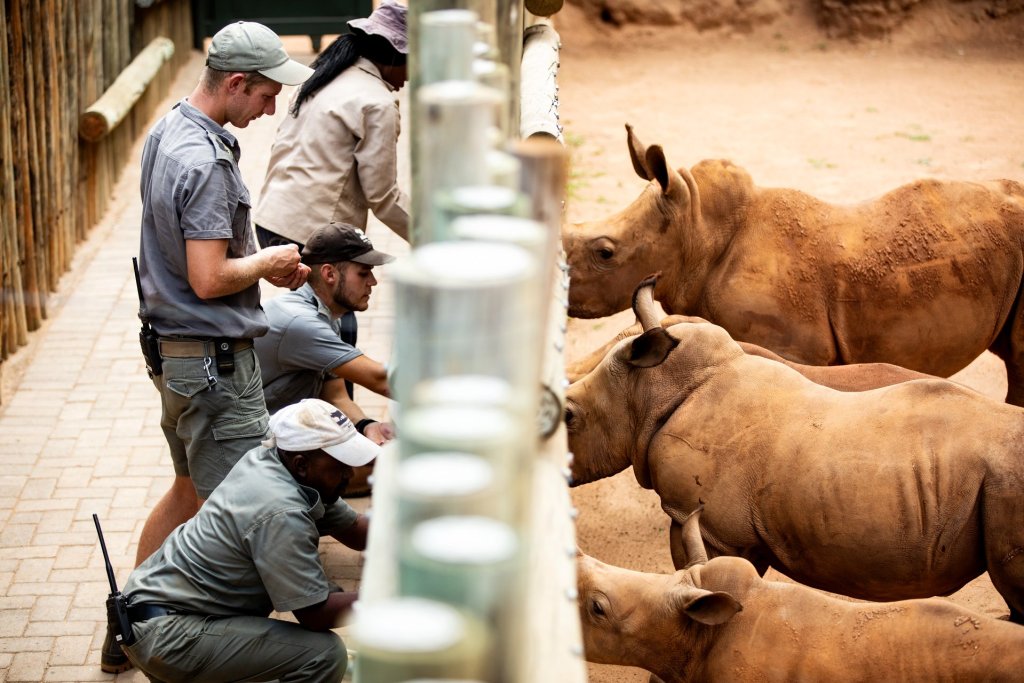 khu bảo tồn tê giác lớn nhất thế giới Care of Wild